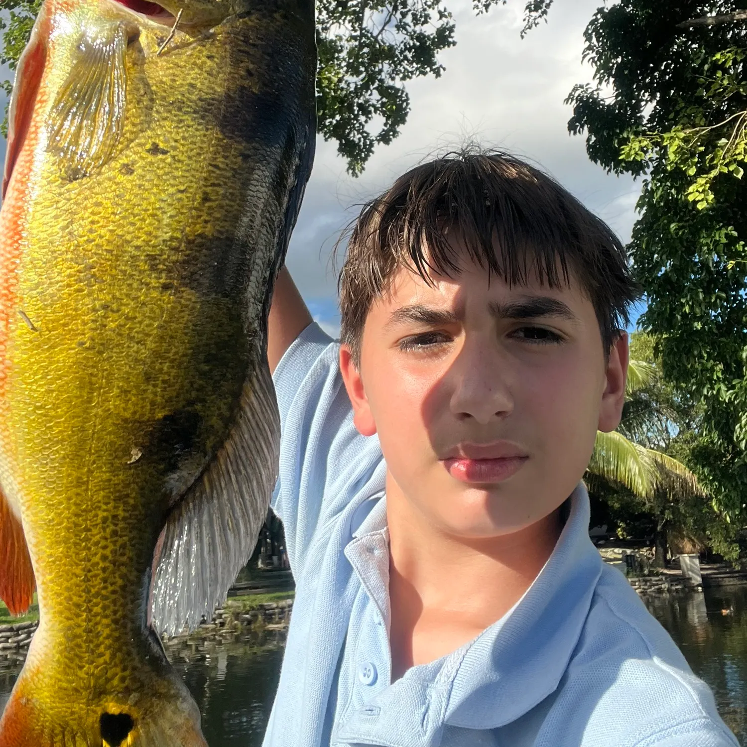 Butterfly peacock bass caught on Fishbrain