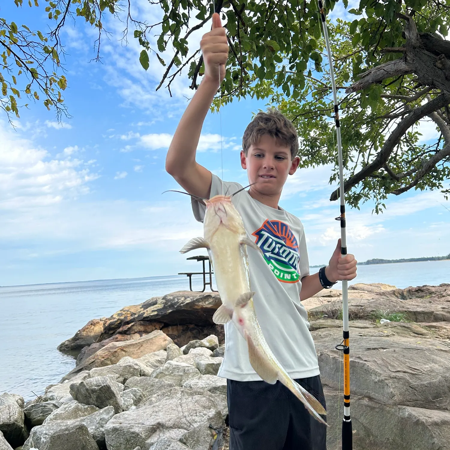 Channel catfish caught on Fishbrain