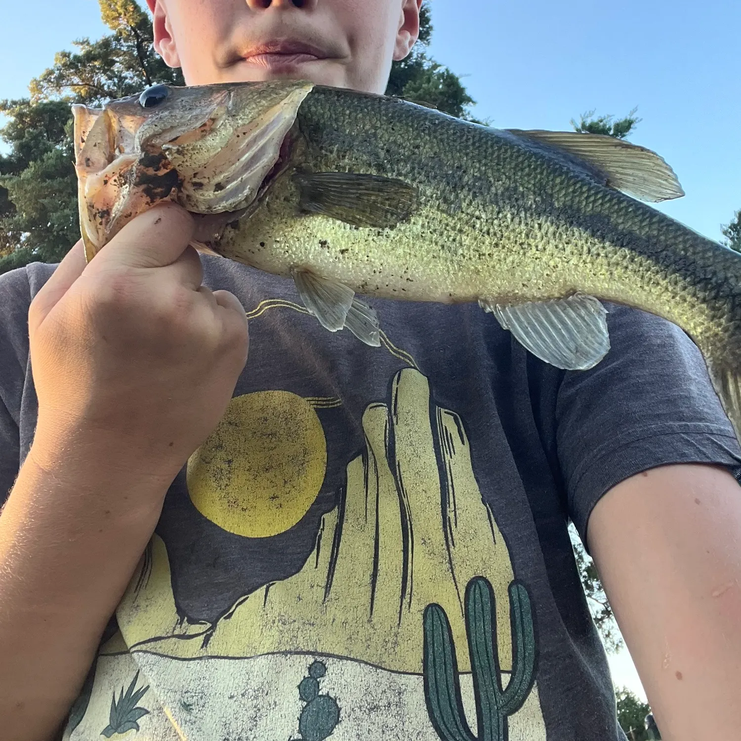 Largemouth bass caught on Fishbrain