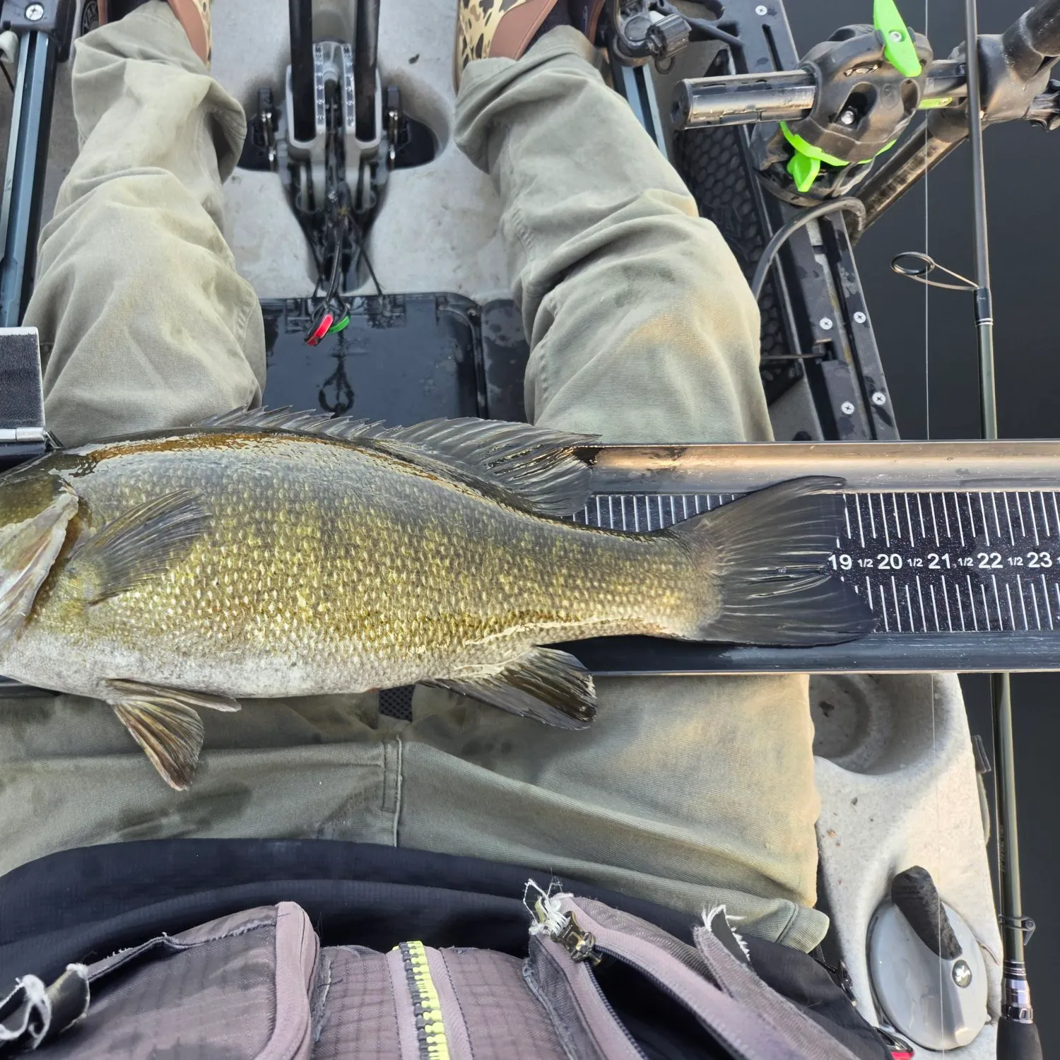 Smallmouth bass caught on Fishbrain