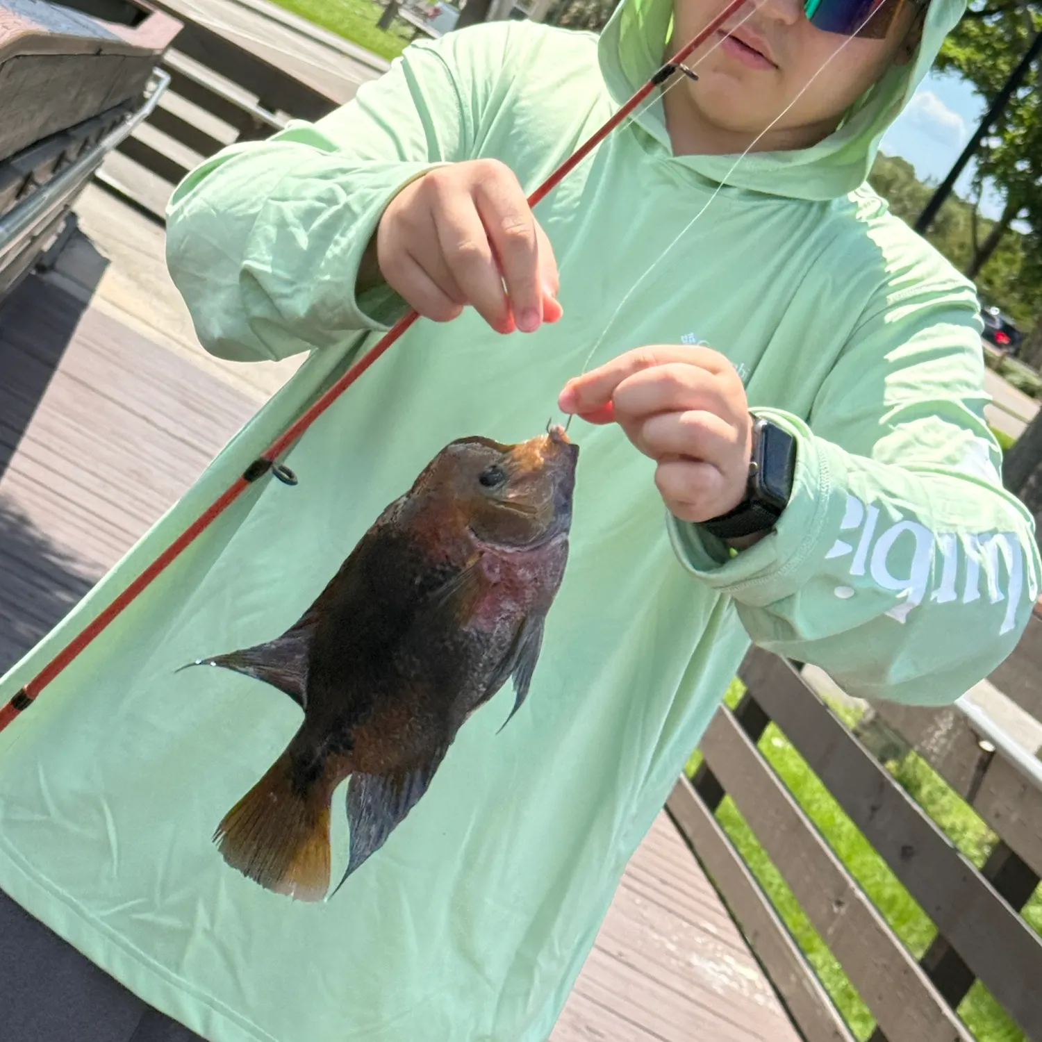 Redhead cichlid caught on Fishbrain