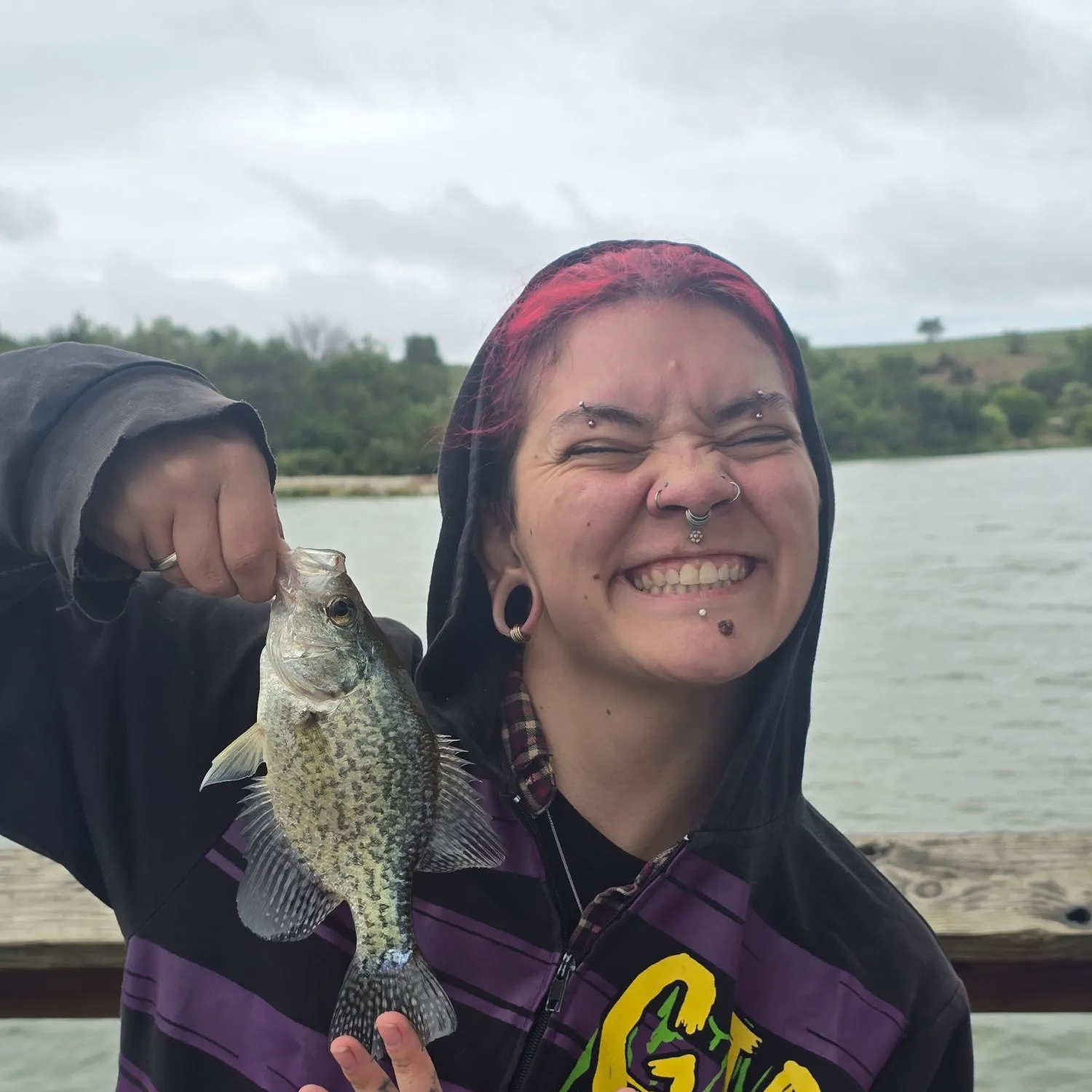 Black crappie caught on Fishbrain