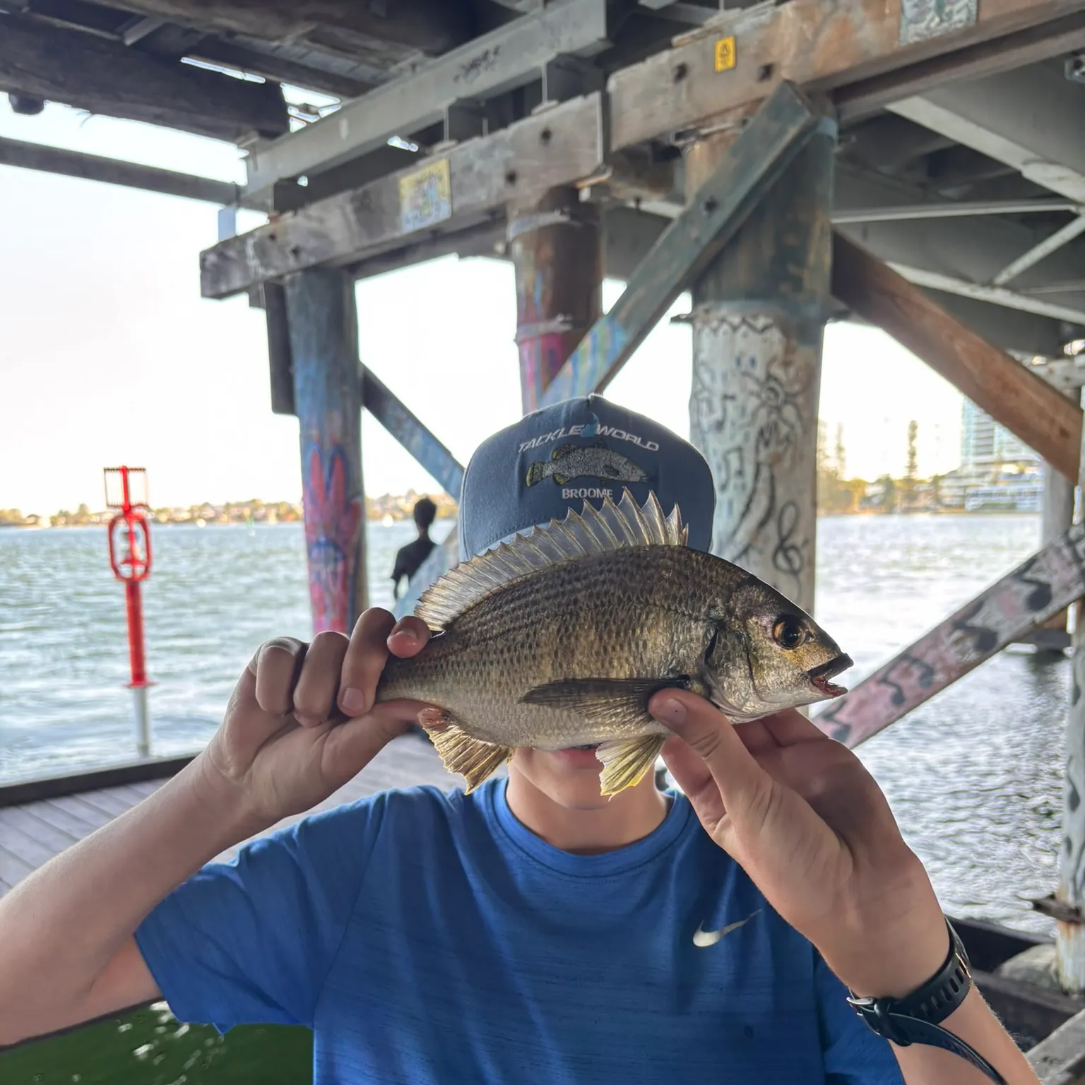The most recent Southern black bream catches on Fishbrain