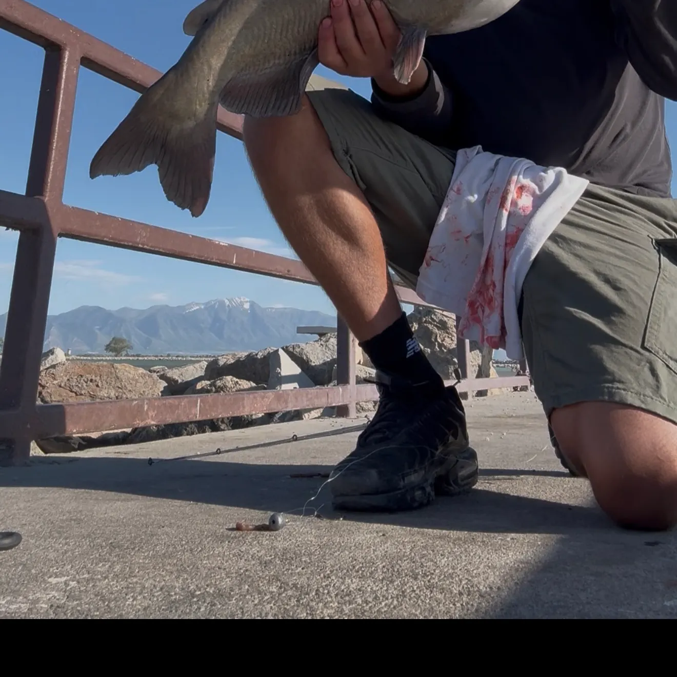 catch