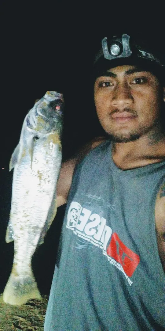 Post image from foutala