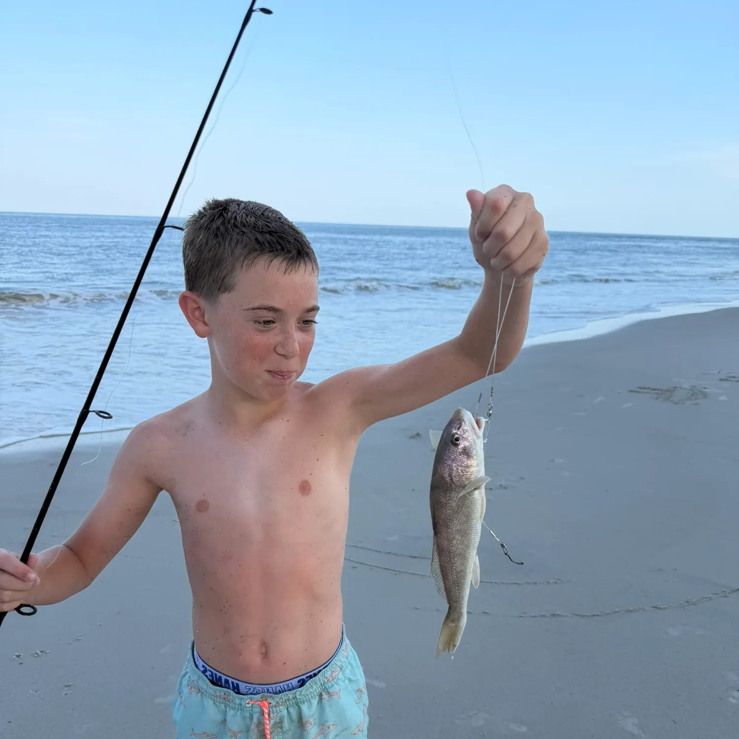 The most recent Blue whiting catches on Fishbrain