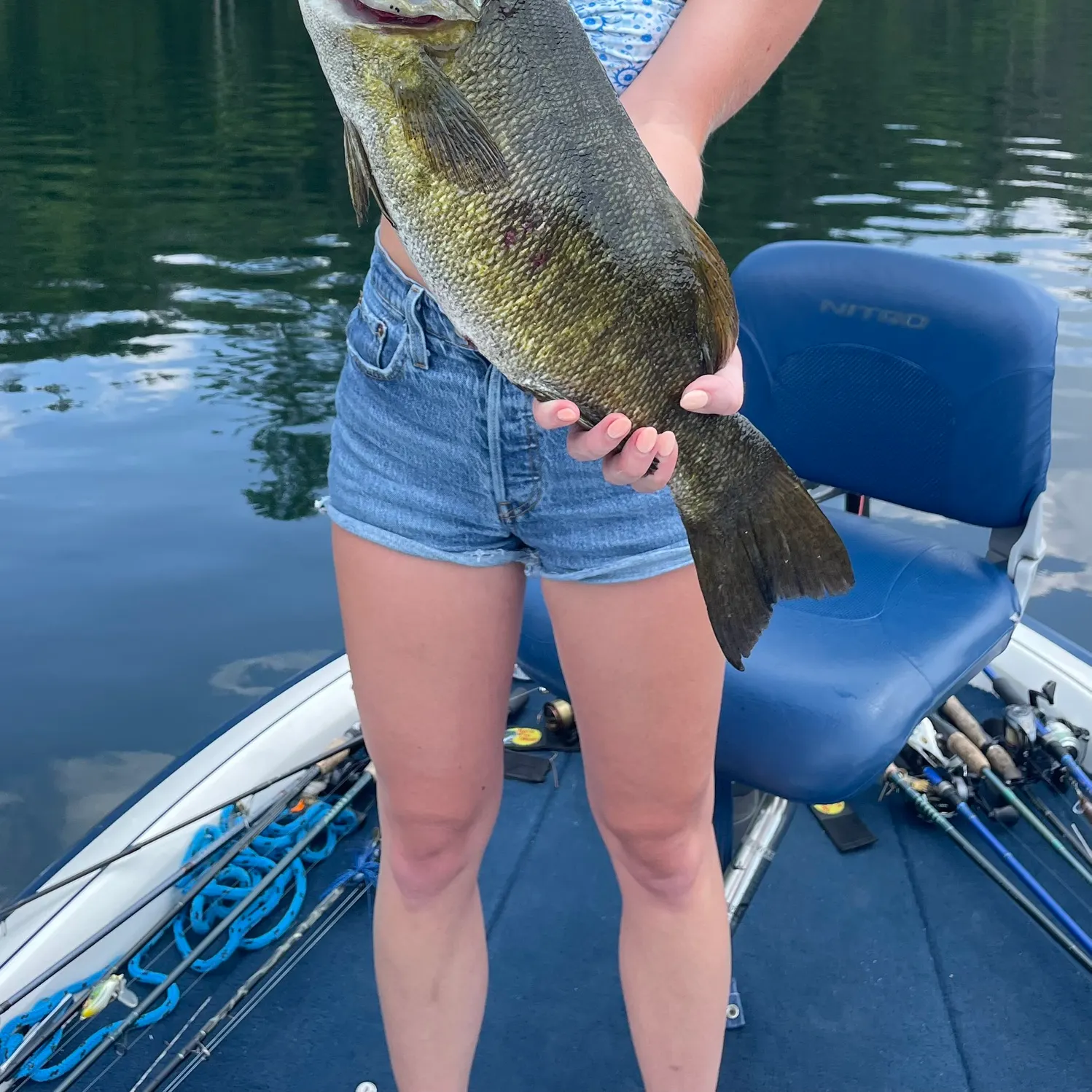 The most recent Smallmouth bass catches on Fishbrain