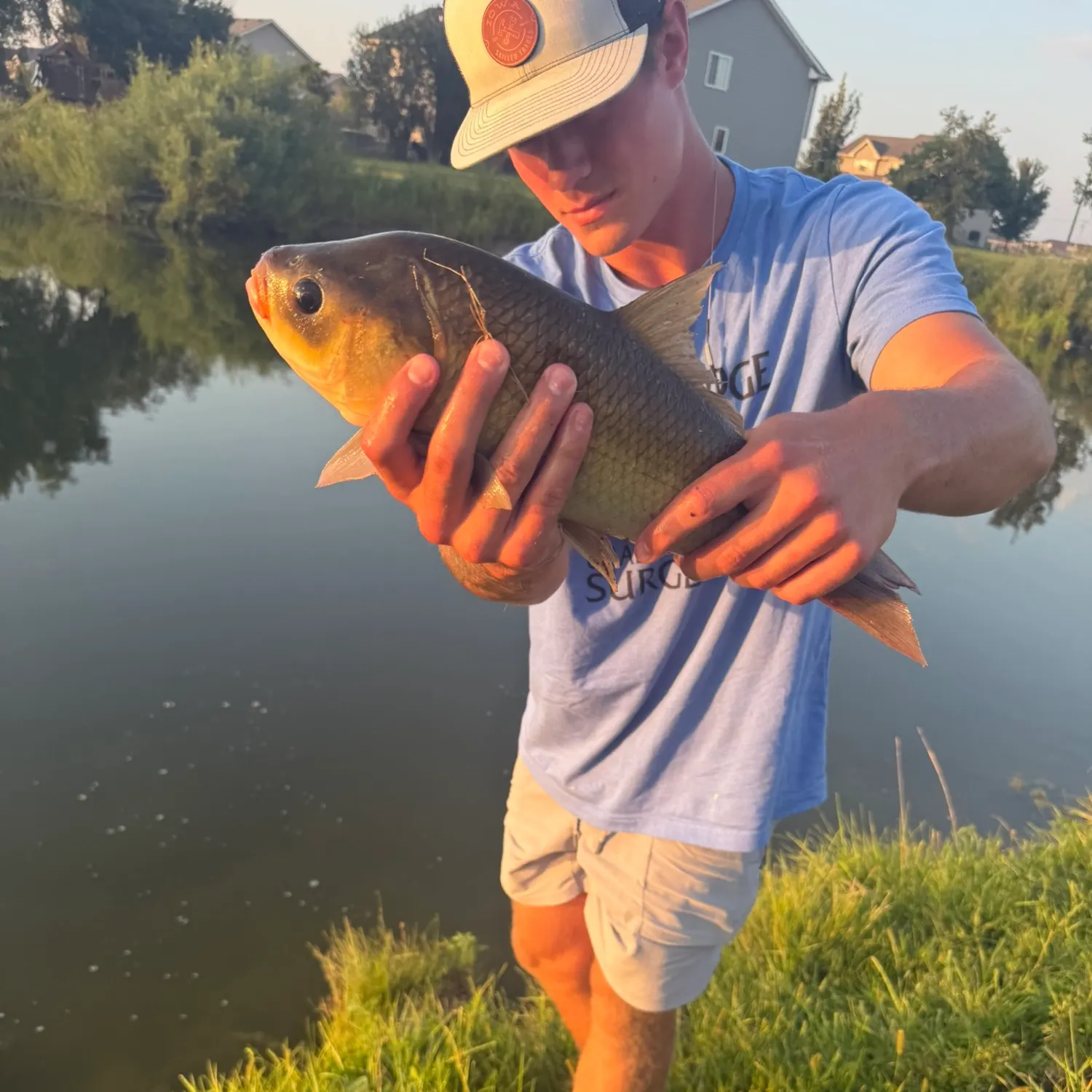 Fish caught on Fishbrain