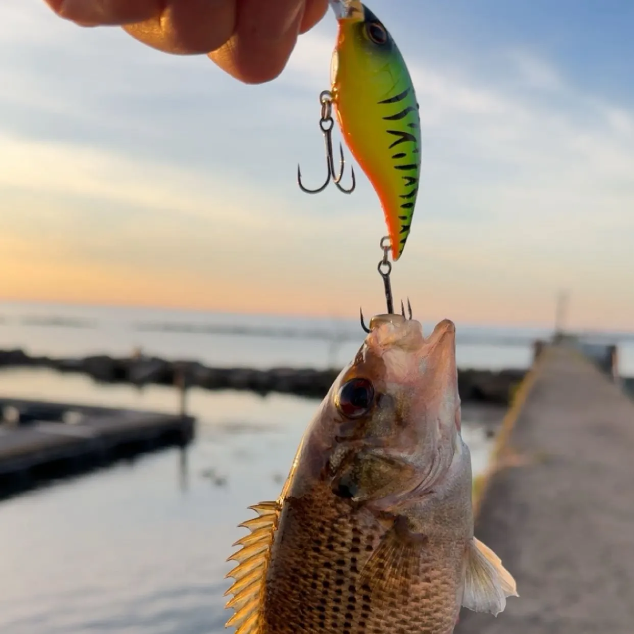 catch