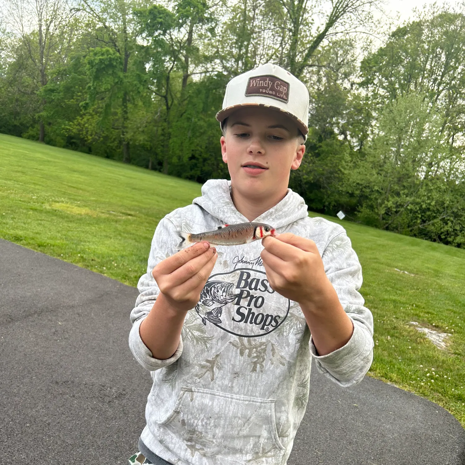 The most recent Warpaint shiner catches on Fishbrain