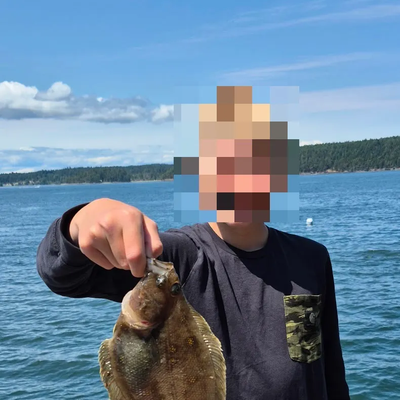 The most recent Pacific sanddab catches on Fishbrain