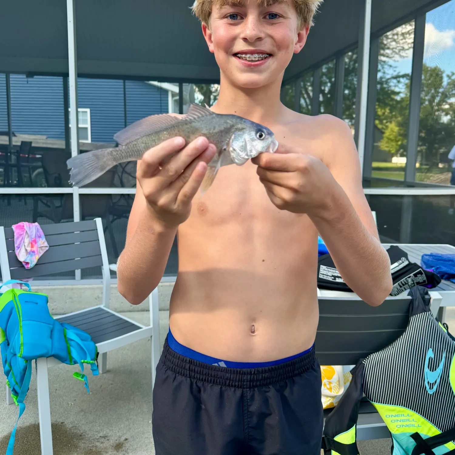 Sheepshead caught on Fishbrain