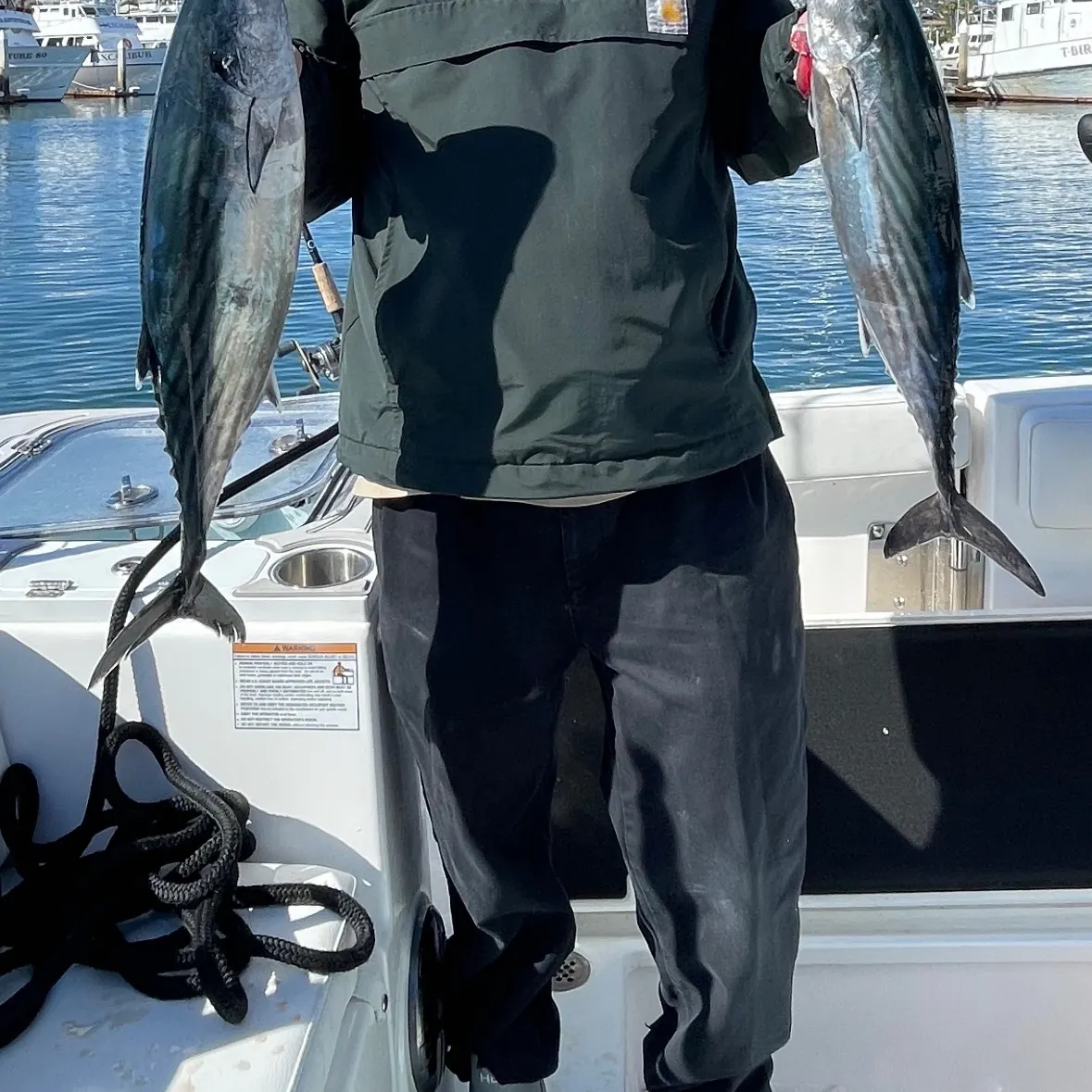 The most recent Pacific bonito catches on Fishbrain