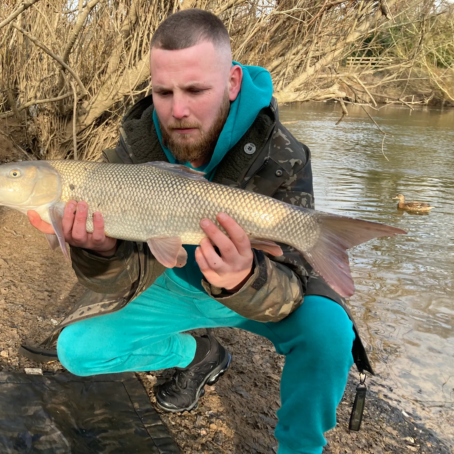 The most popular recent Common barbel catch on Fishbrain