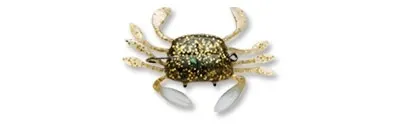 Wildeye Live Swimming Crab