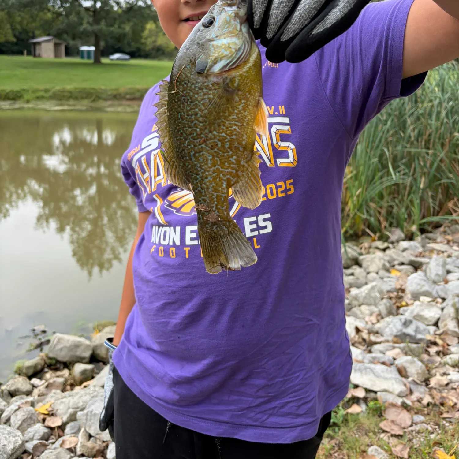 Green sunfish caught on Fishbrain