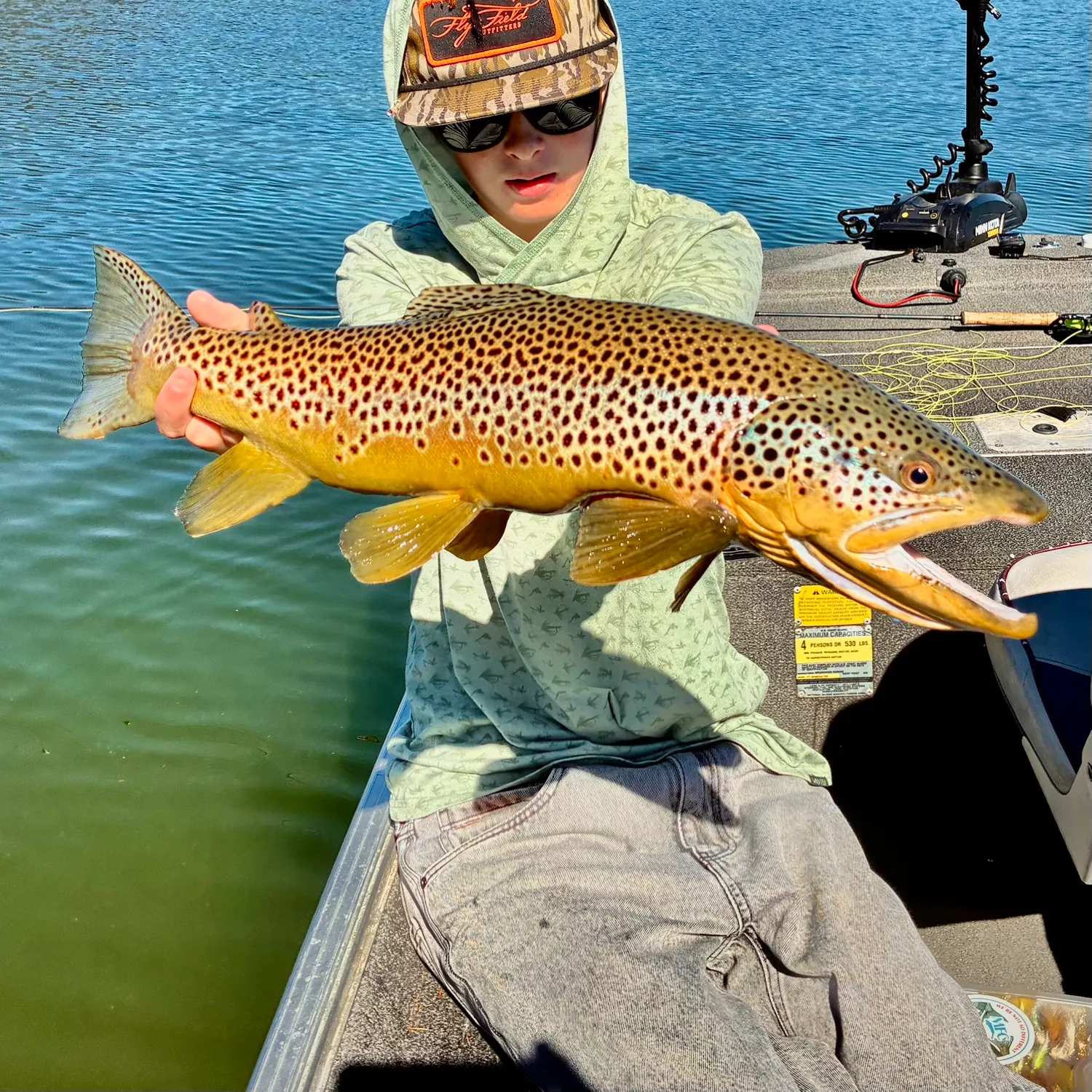 Brown trout caught on Fishbrain