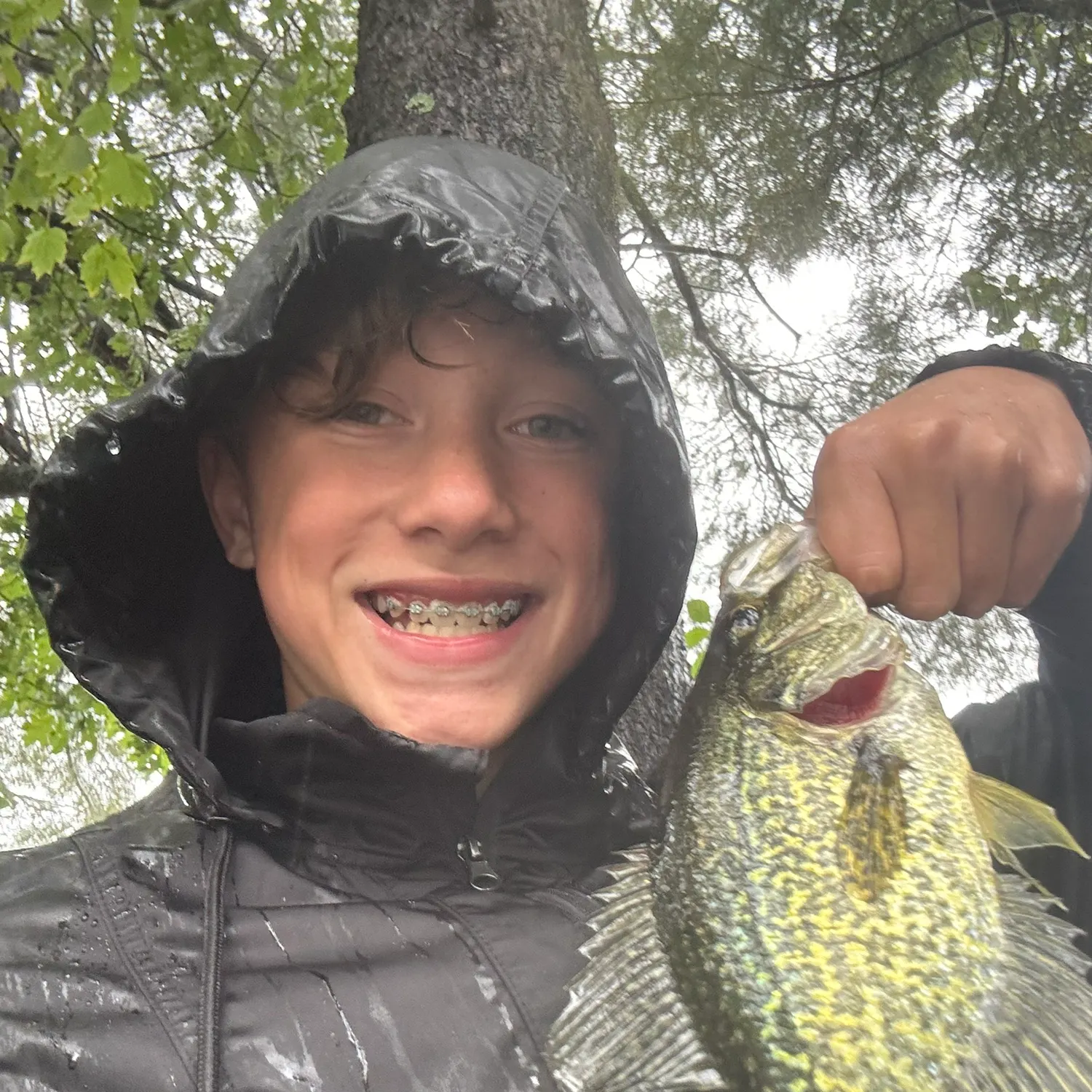 Black crappie caught on Fishbrain