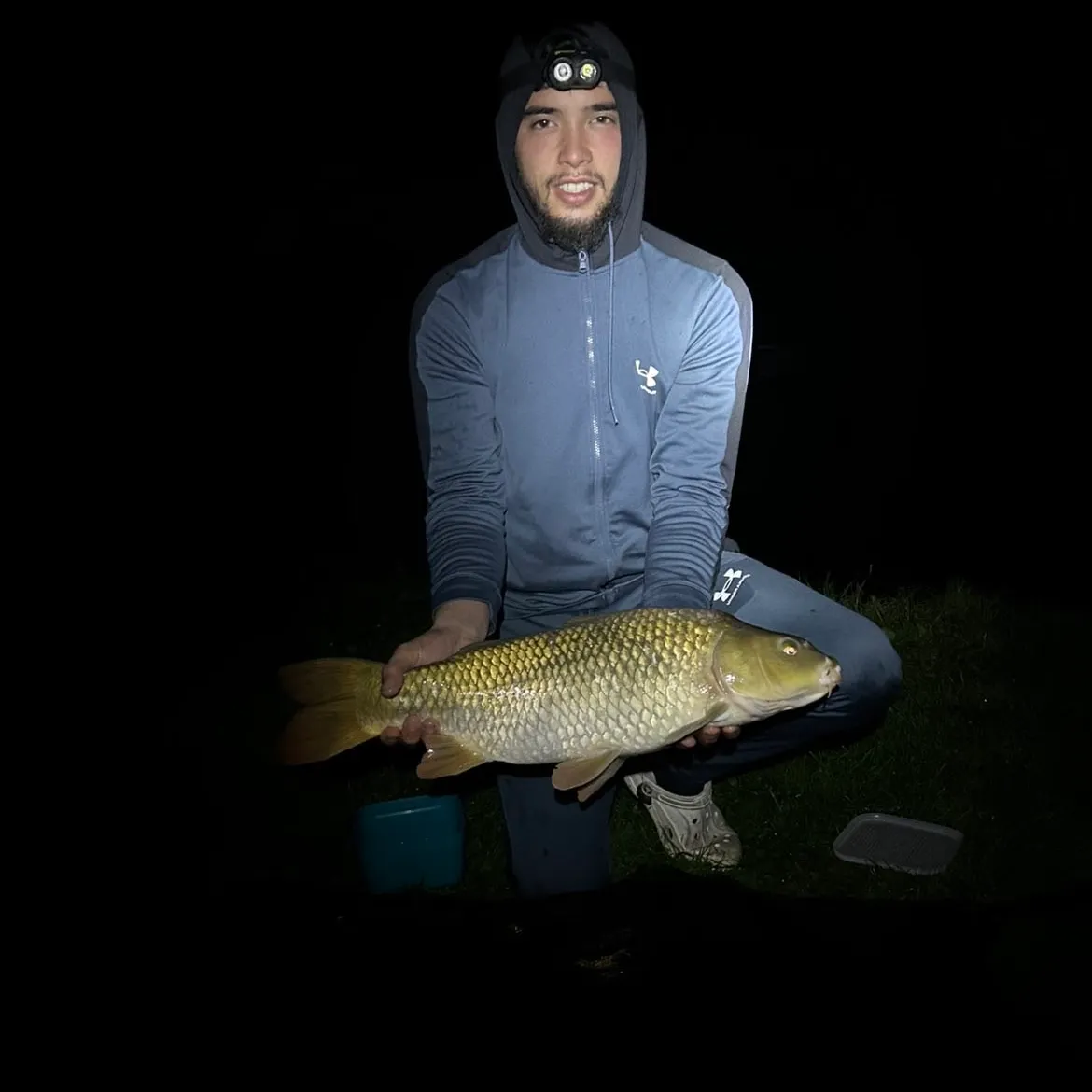 Common carp caught on Fishbrain