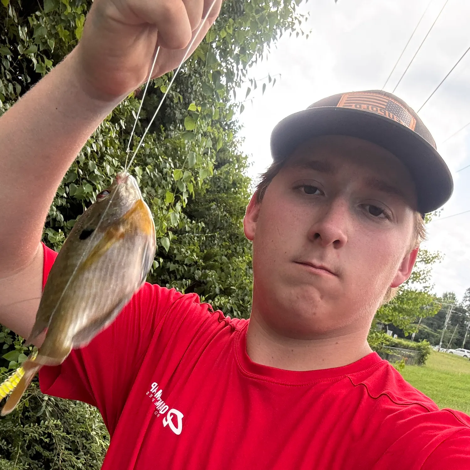 Bluegill caught on Fishbrain