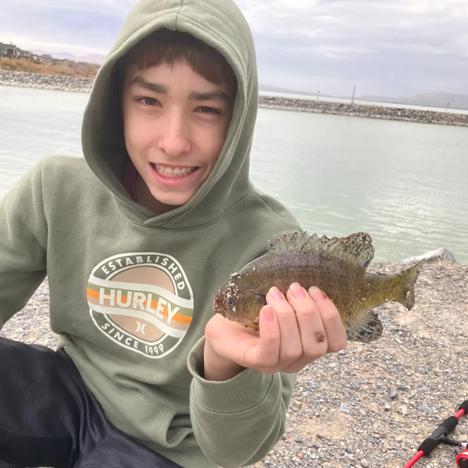 The most recent Bluegill catches on Fishbrain