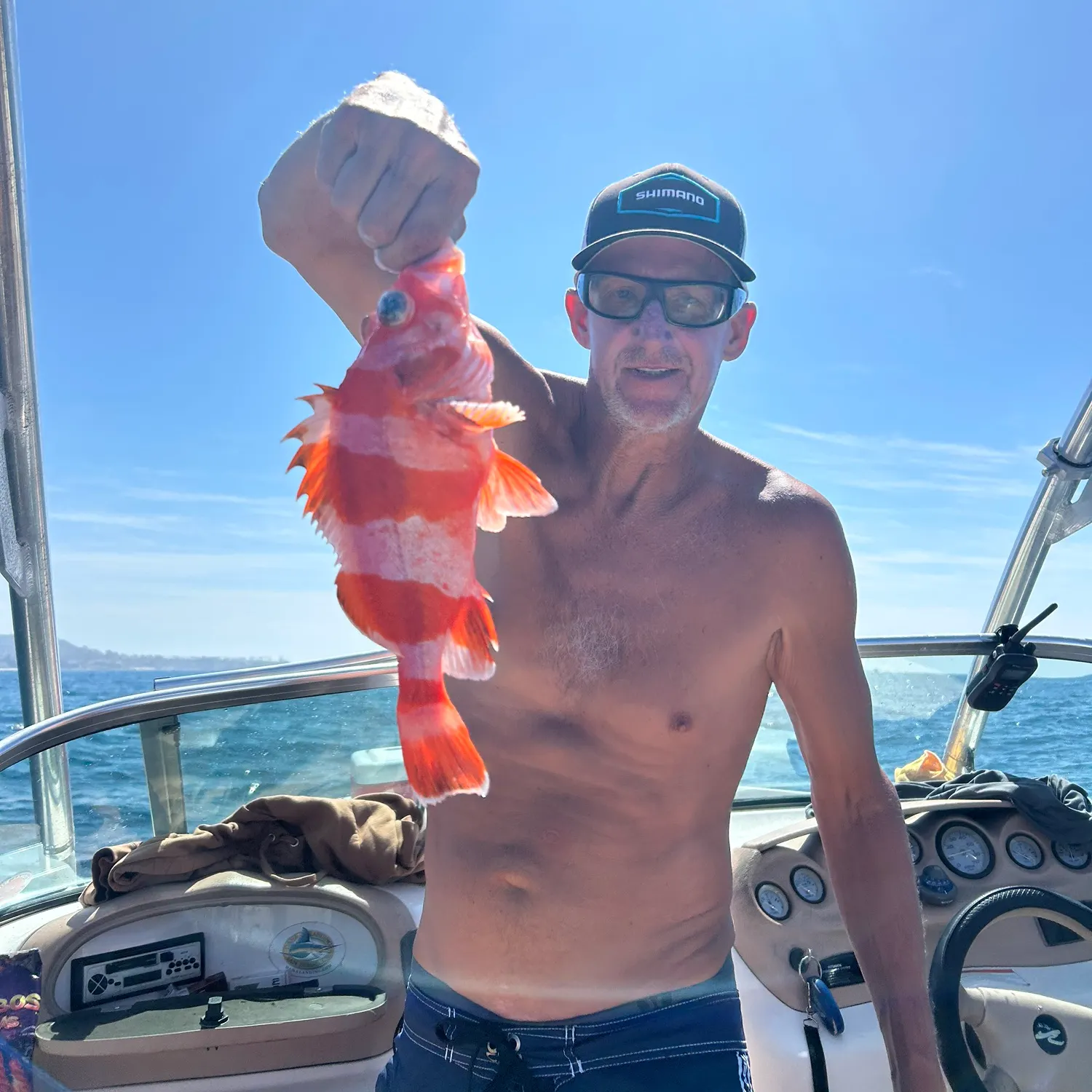 The most recent Flag rockfish catches on Fishbrain
