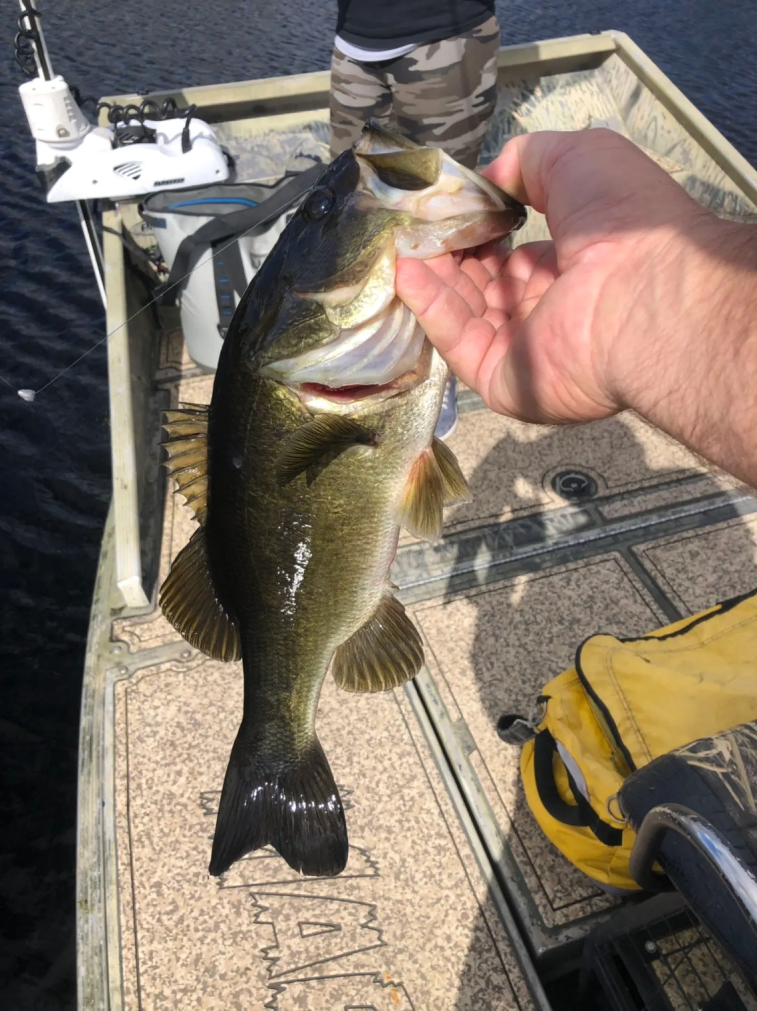 Post image from OsceolaOutbackAdventures