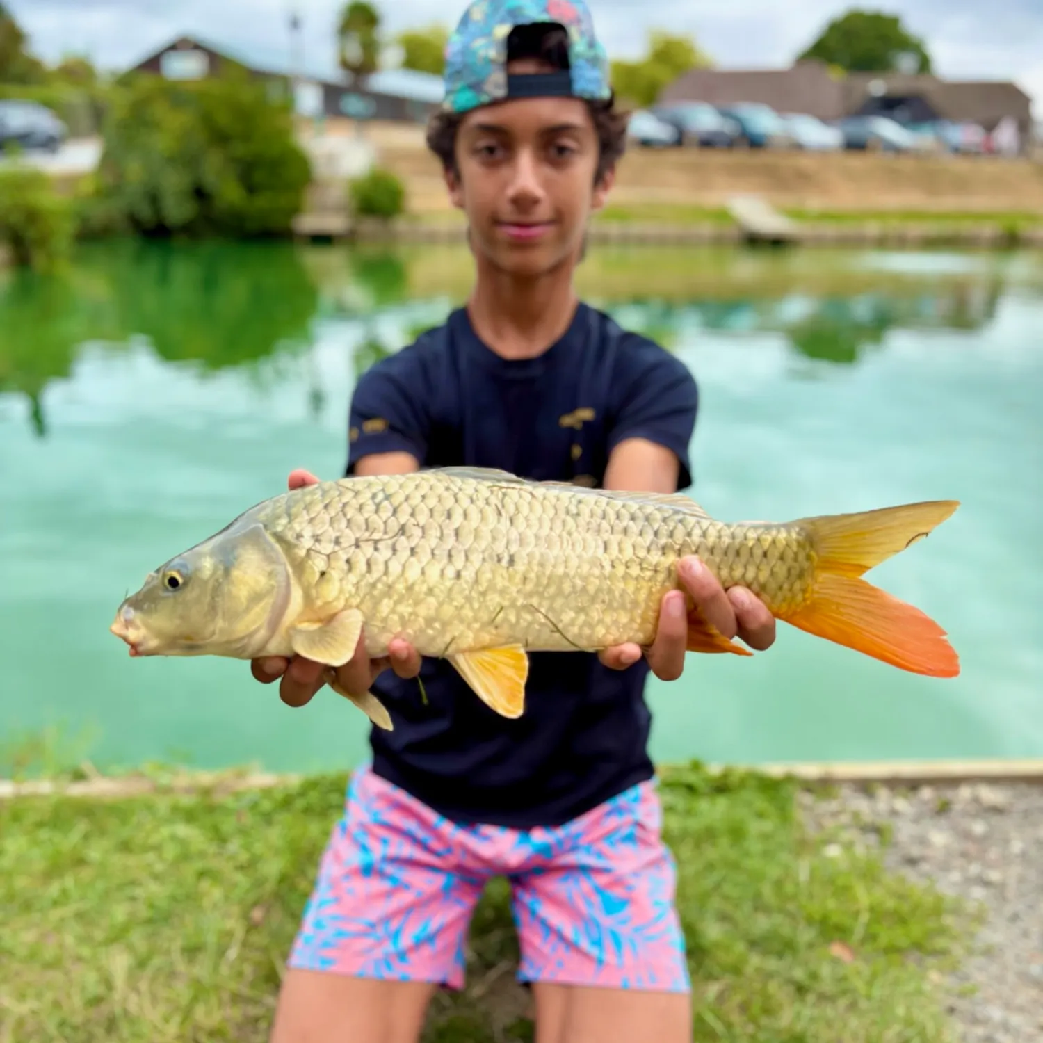 Common carp caught on Fishbrain