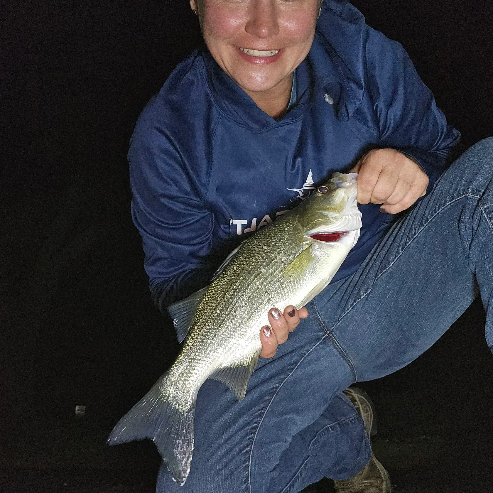 White bass caught on Fishbrain