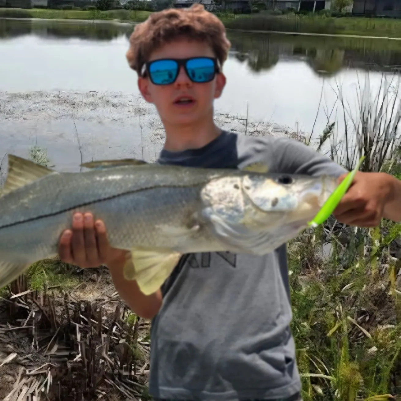 Common snook caught on Fishbrain