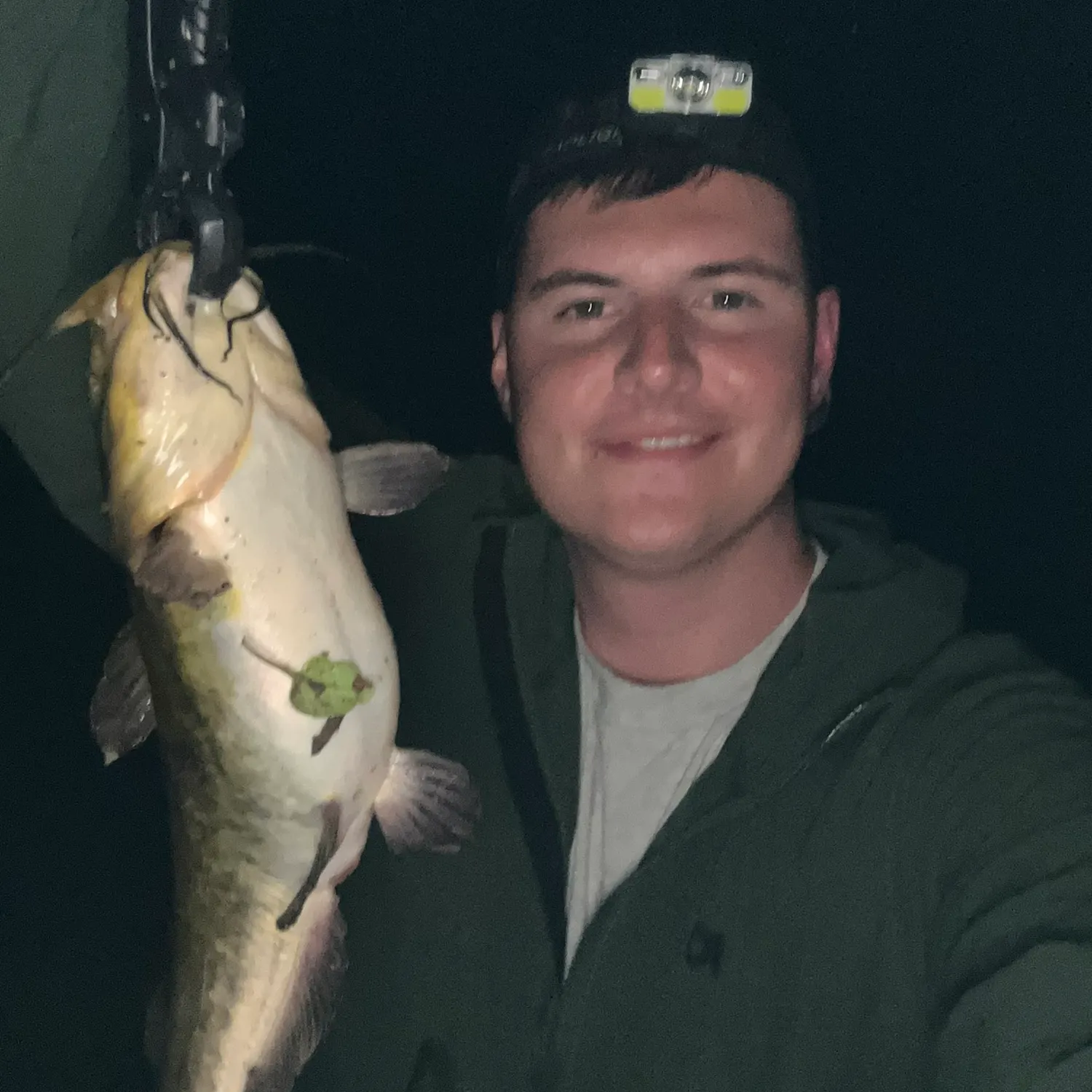 Yellow bullhead caught on Fishbrain