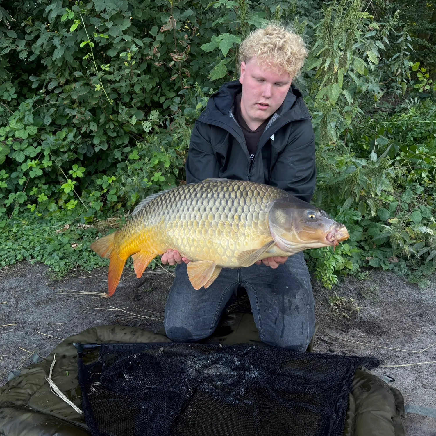 Common carp caught on Fishbrain
