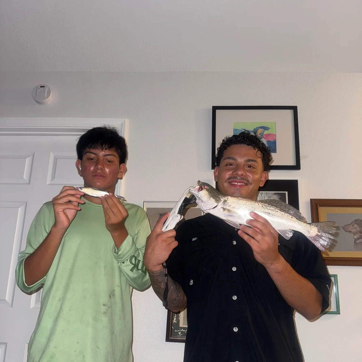 recently logged catches