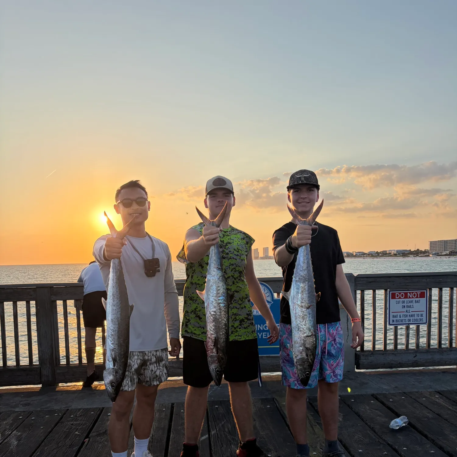 The most recent King mackerel catches on Fishbrain