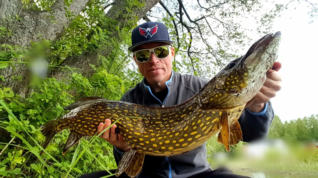 Post image from JPsson