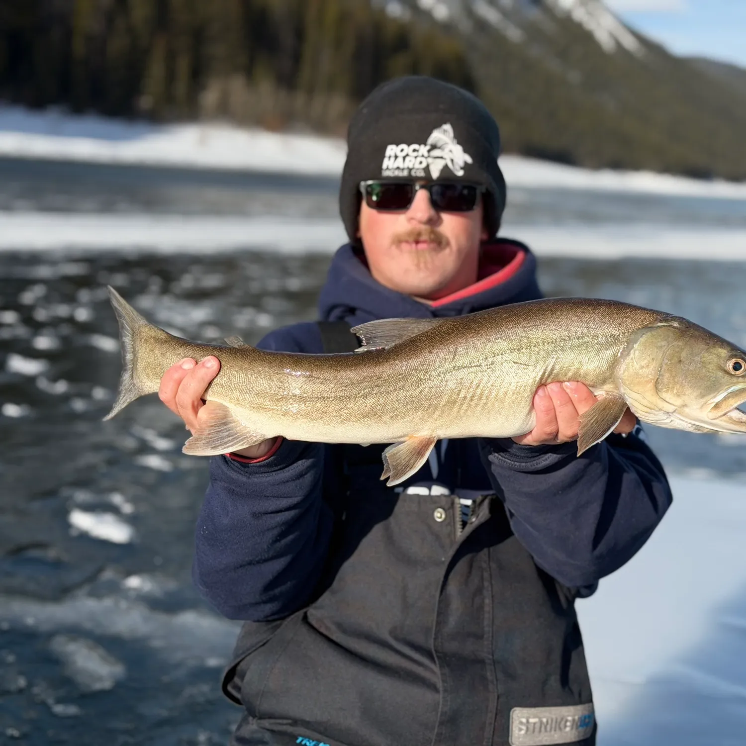 The most recent Bull trout catches on Fishbrain