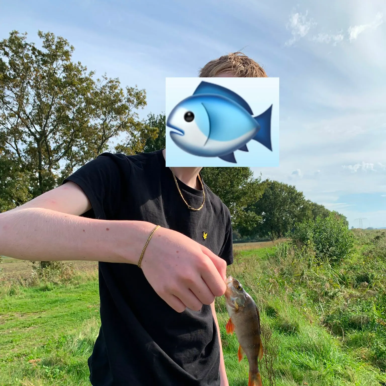 European perch caught on Fishbrain