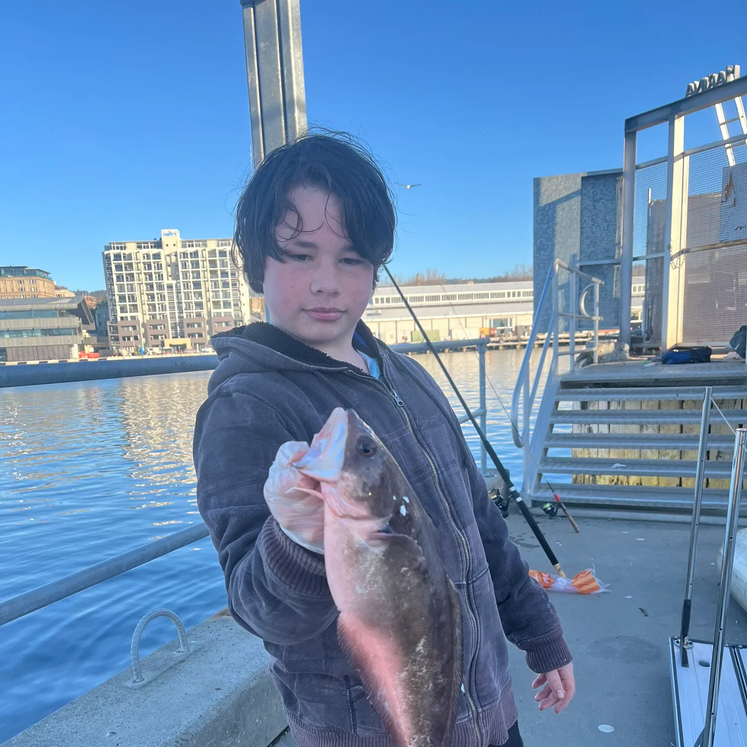 The most recent Red codling catches on Fishbrain
