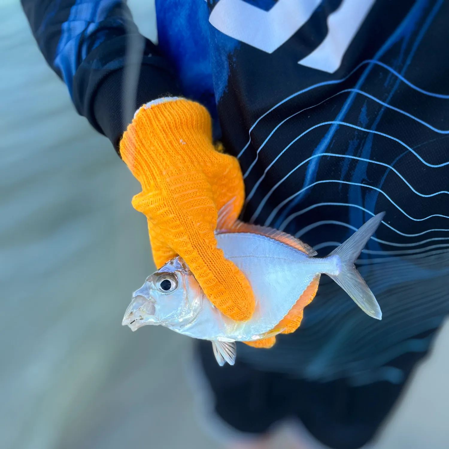 Silver moony caught on Fishbrain