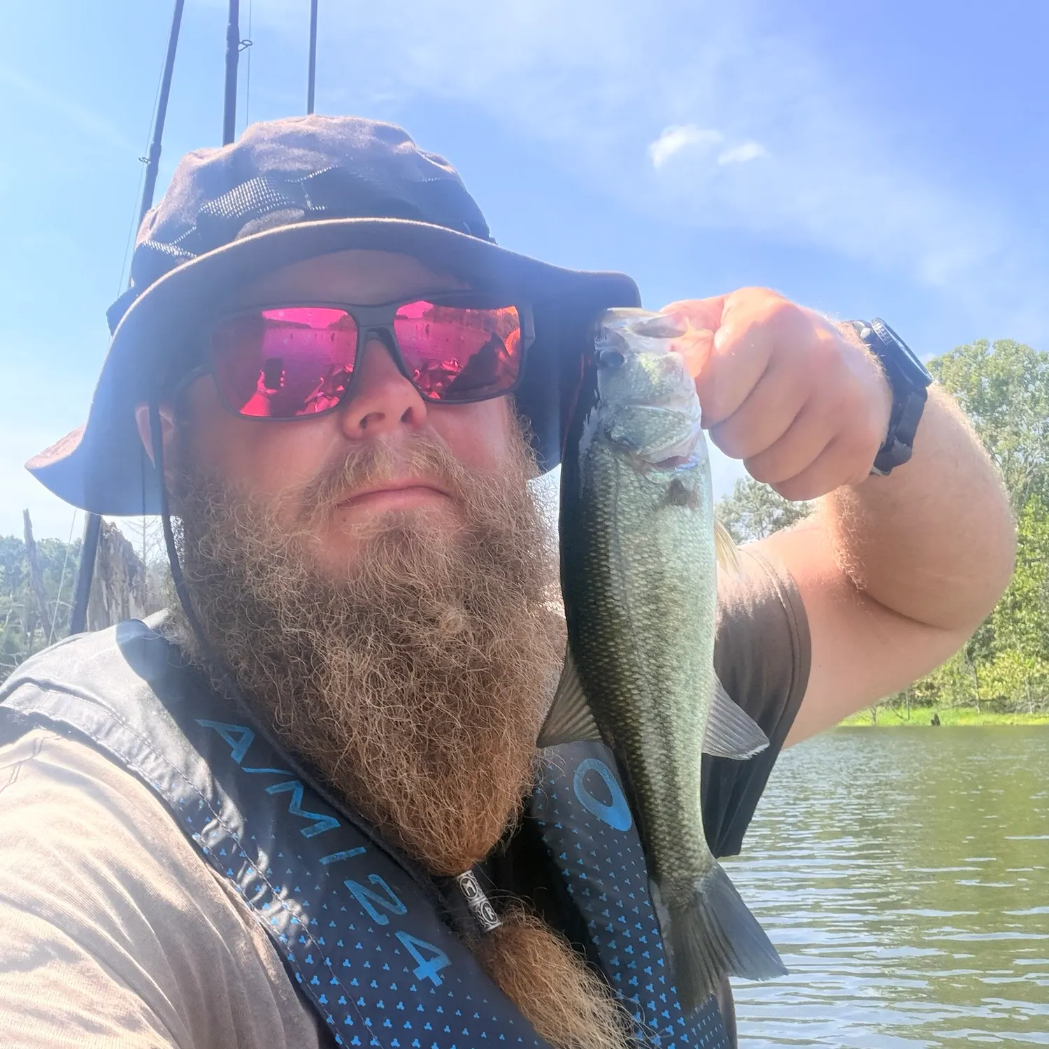 Largemouth bass caught on Fishbrain