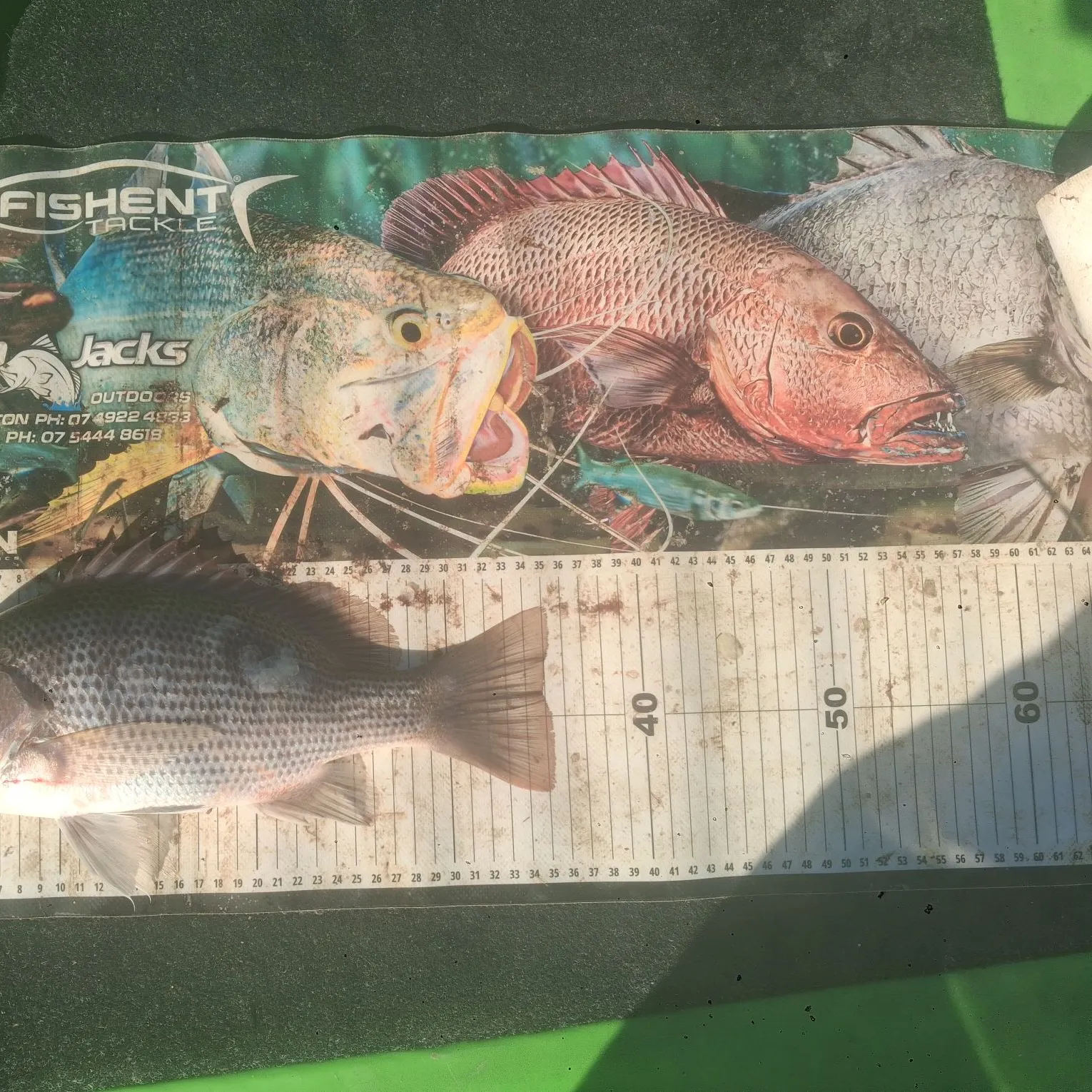 The most recent John's snapper catches on Fishbrain