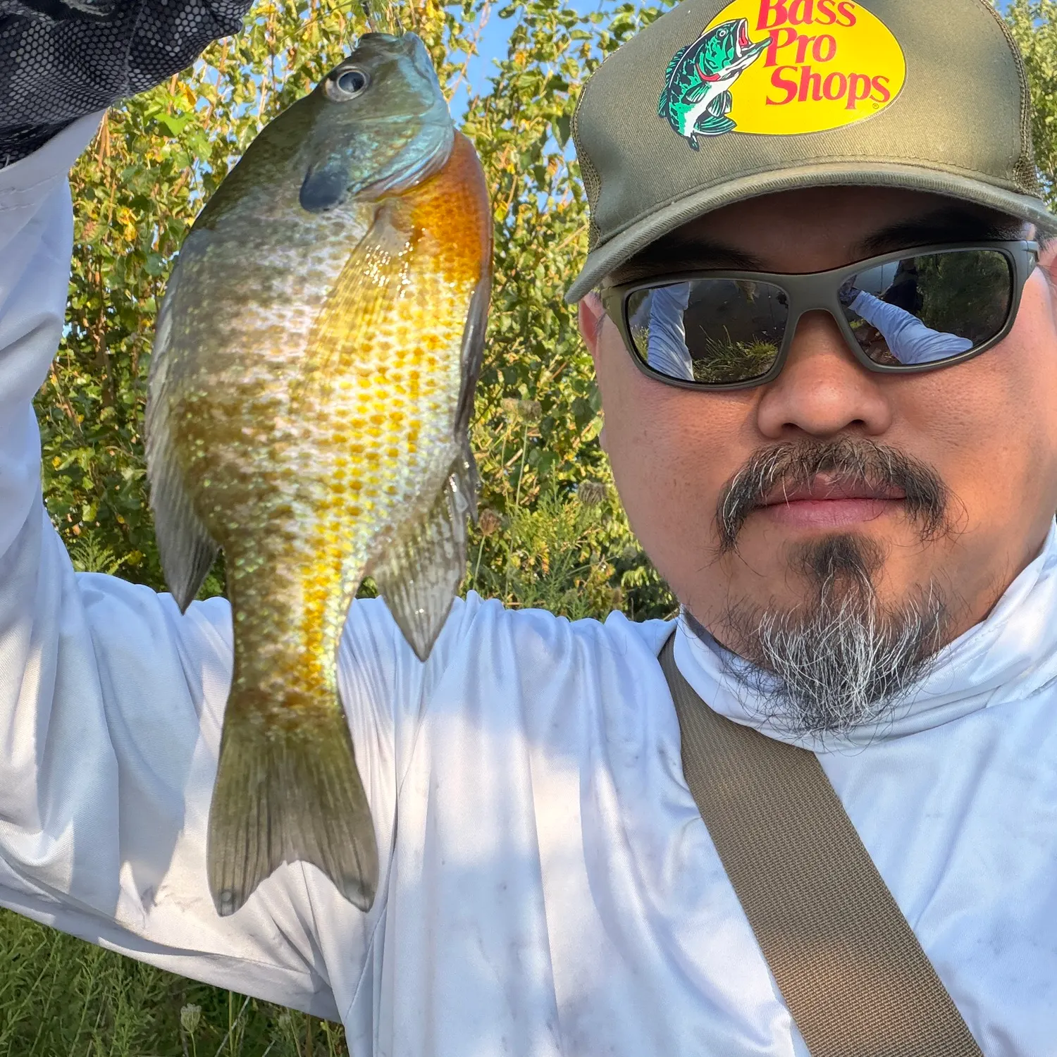 Bluegill caught on Fishbrain