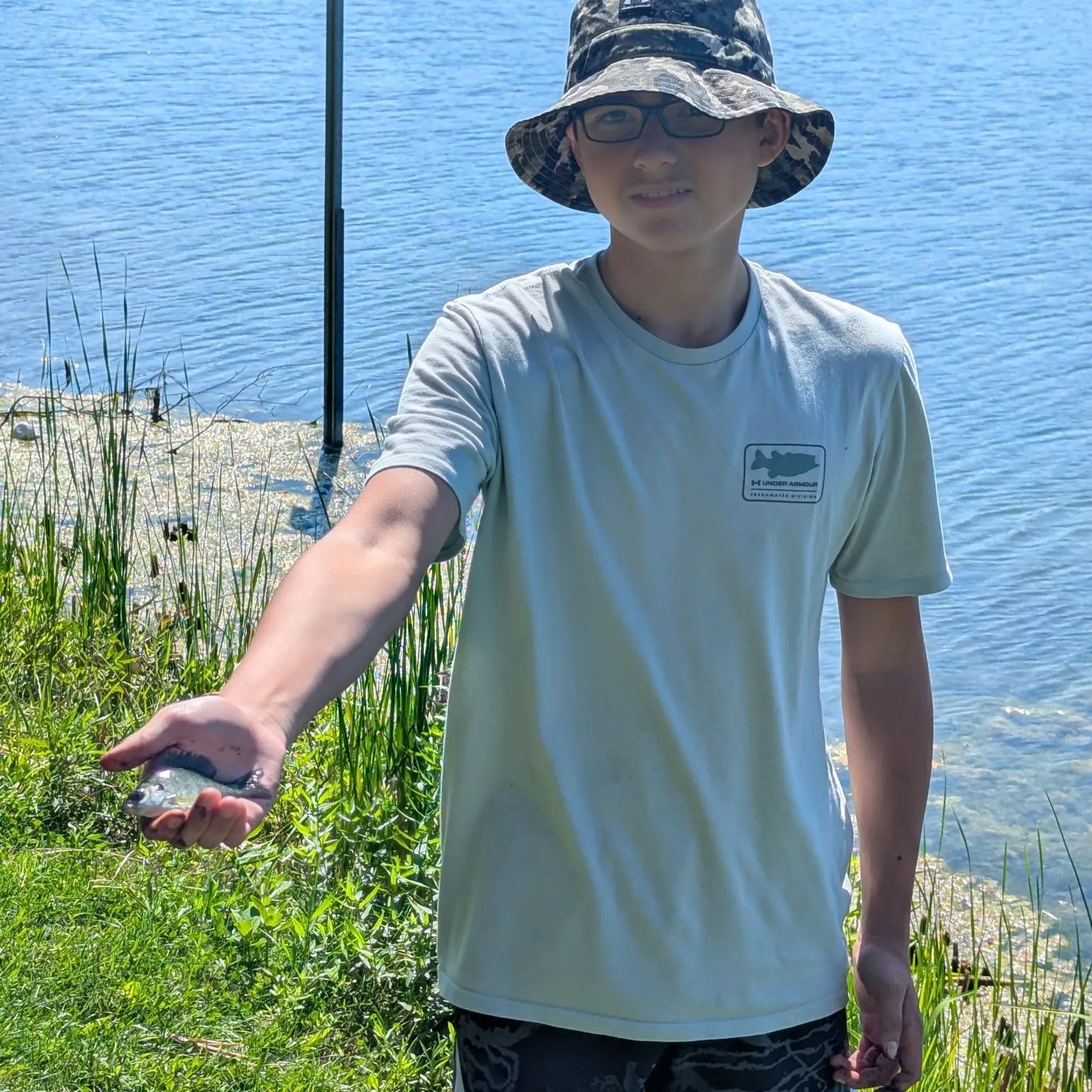 Bluegill caught on Fishbrain
