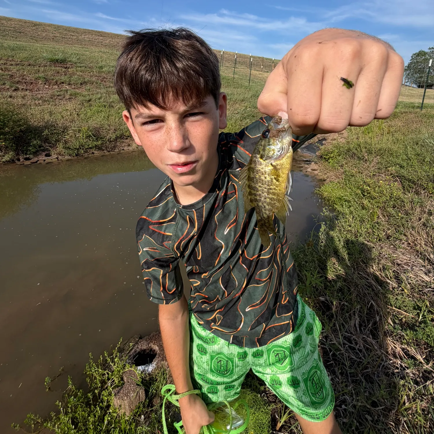 Warmouth caught on Fishbrain