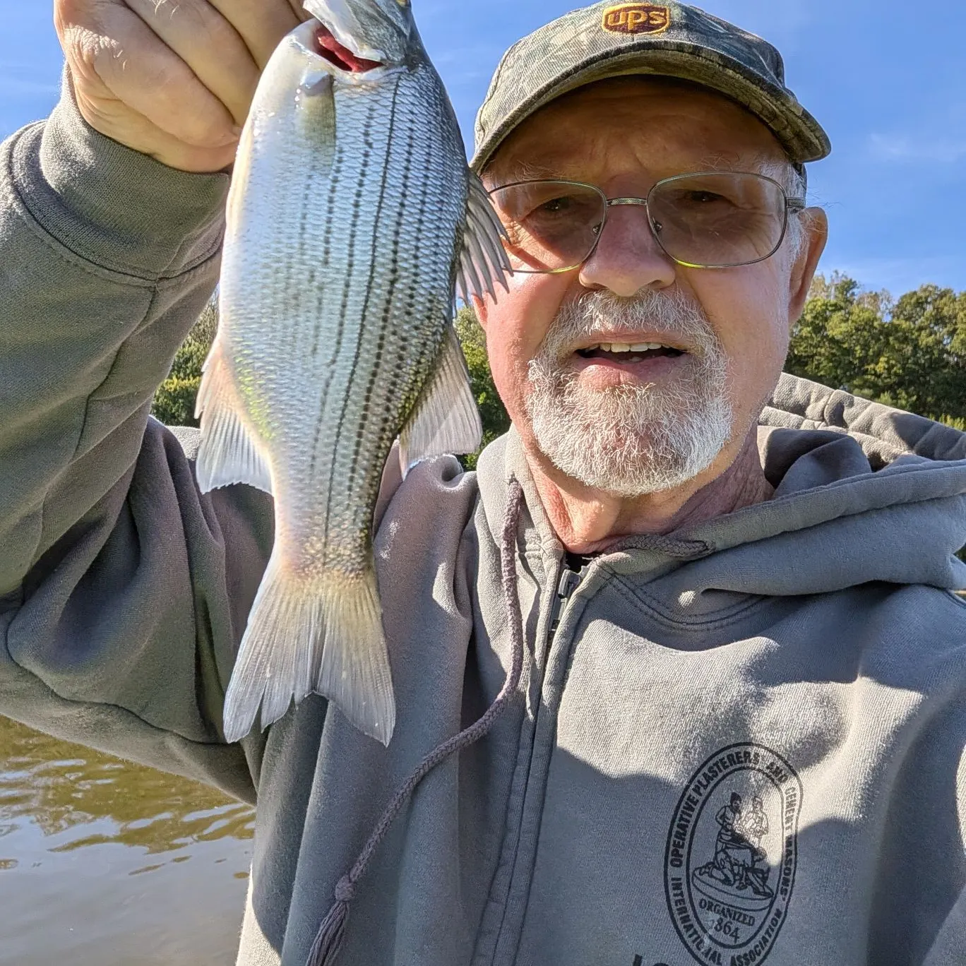 White bass caught on Fishbrain