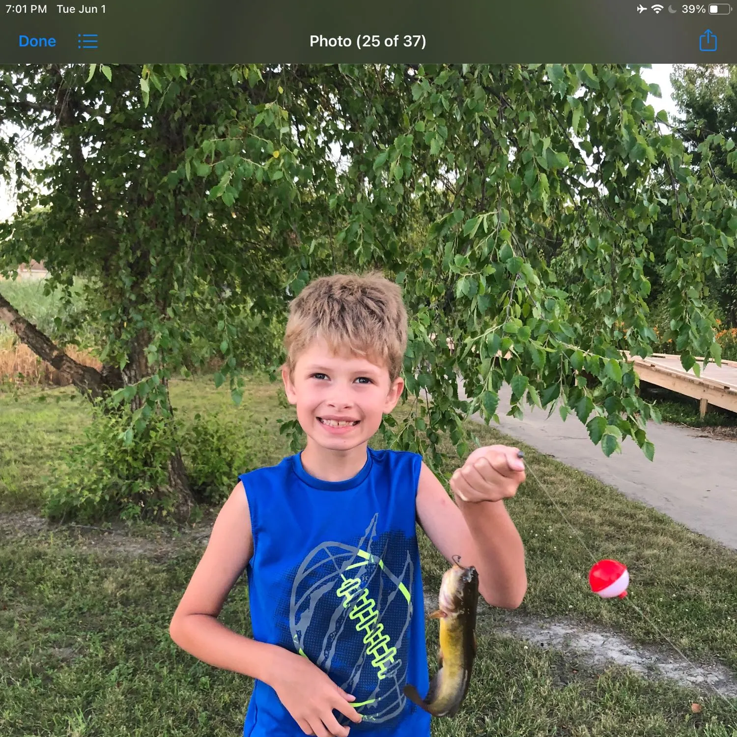 recently logged catches