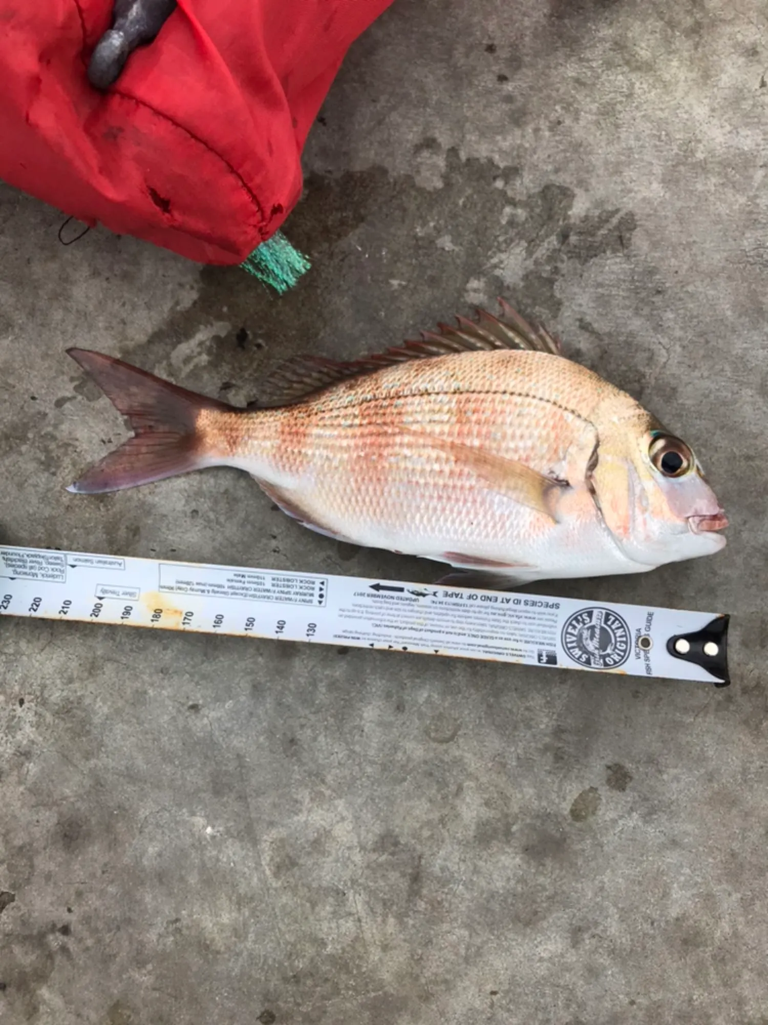 Post image from ayildirim1984