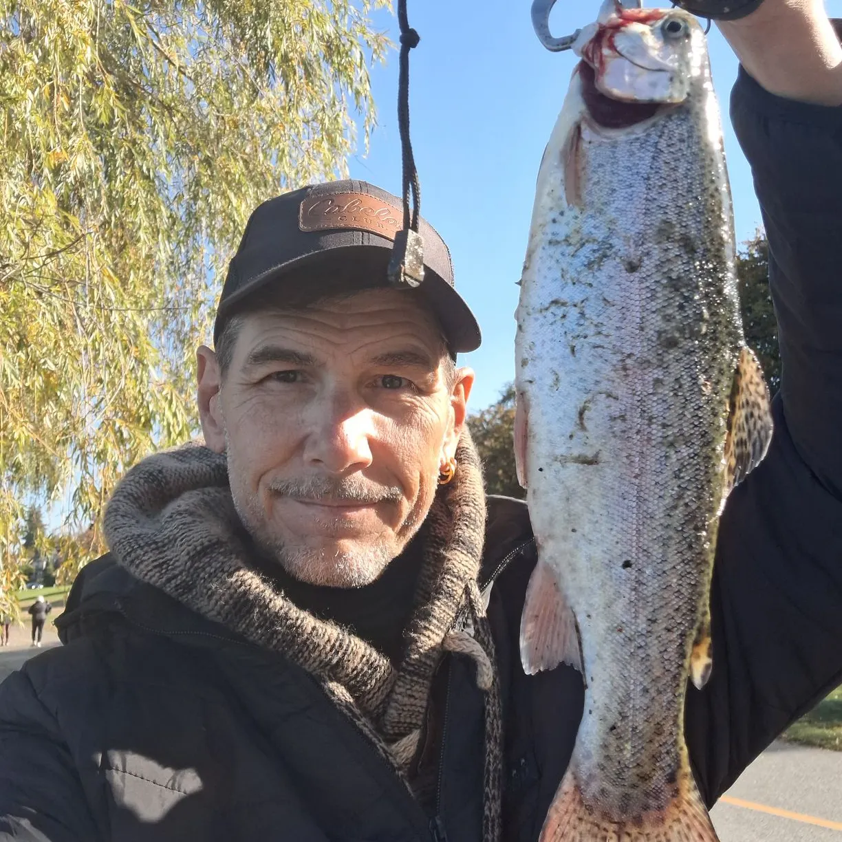 Rainbow trout caught on Fishbrain