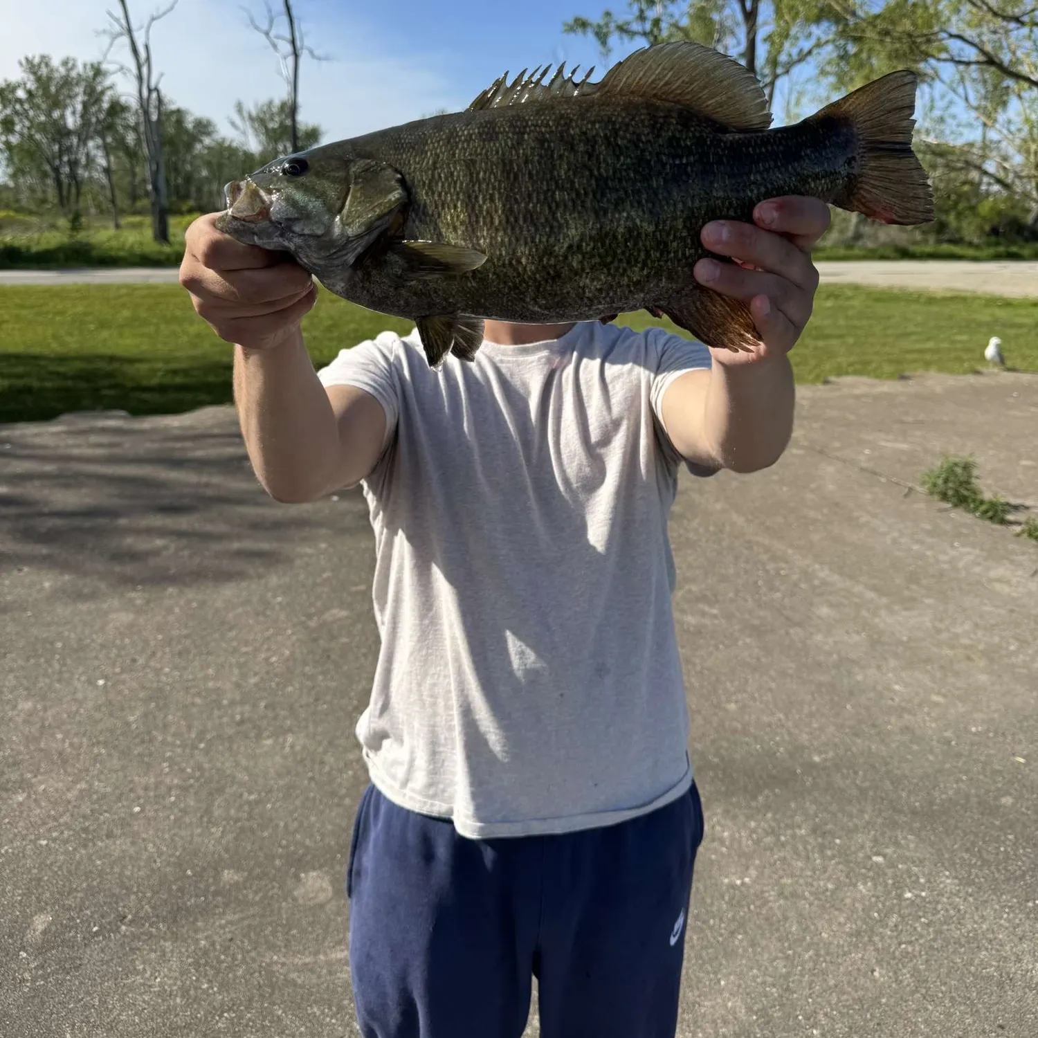 angler catch