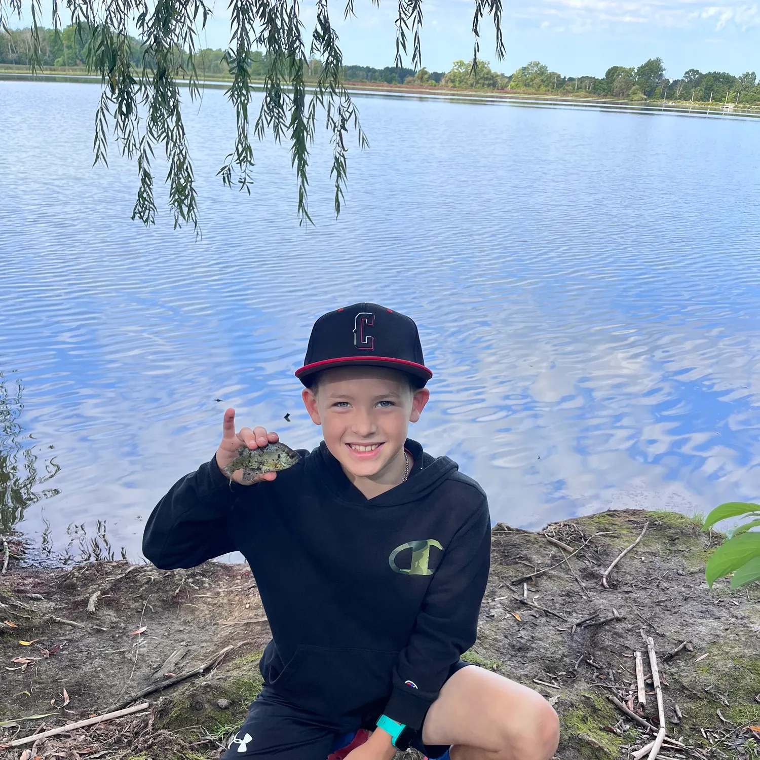 Bluegill caught on Fishbrain